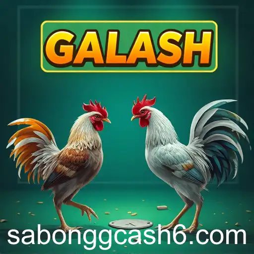 The Evolution of Online Sabong and Digital Payments